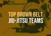 Top 5 Brown Belt Teams In The World Today